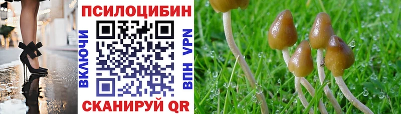 сайты даркнета официальный сайт  Лысьва  Псилоцибиновые грибы мицелий  где купить наркотик 