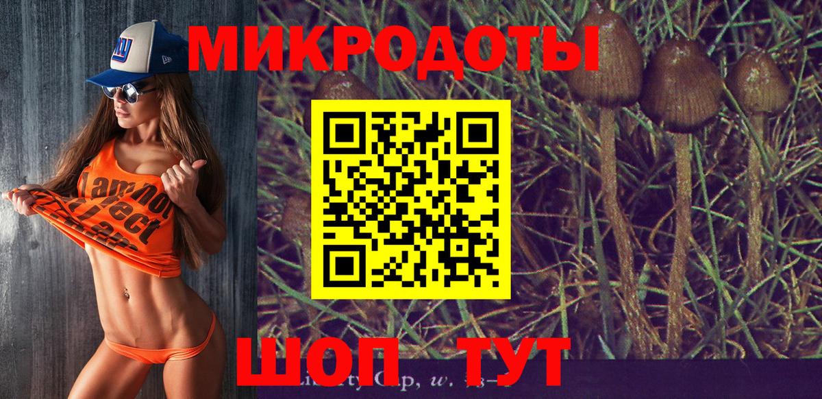 Галлюциногенные грибы Cubensis  Вход с VPN  Галлюциногенные грибы Psilocybine cubensis  Лысьва 
