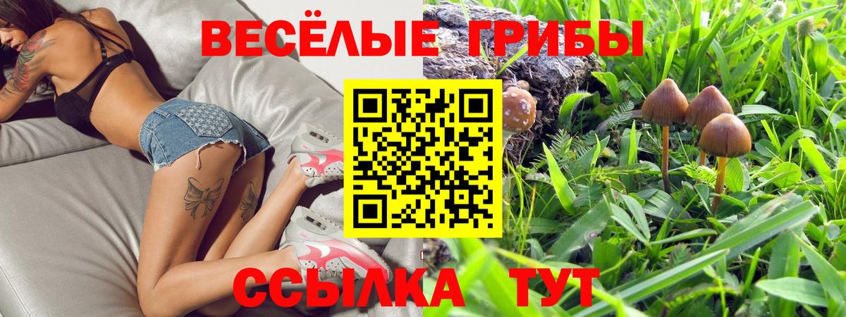 Псилоцибиновые грибы ЛСД Лысьва